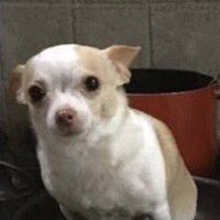 กตกตกต🔮ᶠᵗ สาวออฟฟิศ (@k_krtj) 's Twitter Profile Photo