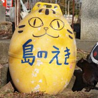 田代島猫散歩 島のえき (@nyanpro) 's Twitter Profile