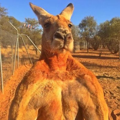 • Un Français vivant en Australie •