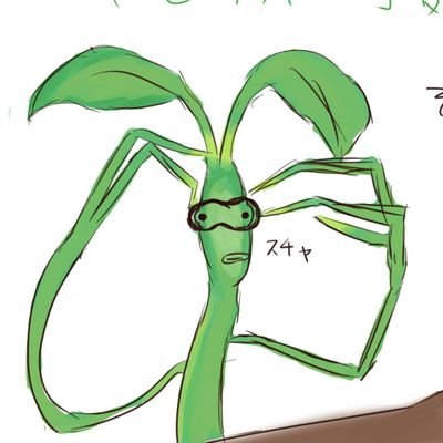 だし巻き卵🌱さんのプロフィール画像
