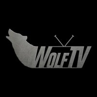 WolfTV (@wolftv_official) 's Twitter Profile