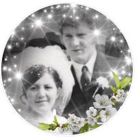 π¦π JANETTE-ANN SULLIVAN ππ¦ (@janann08) 's Twitter Profile