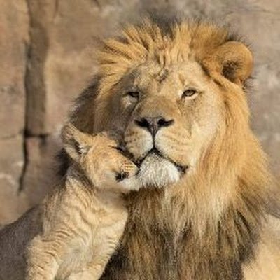 tetanin73's profile picture. In un mondo di fuggitivi chi va nella direzione opposta sembra un disertore.
T.S.Eliot