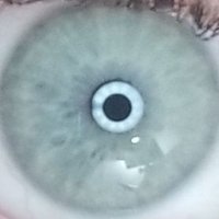 cMichaelp (@coulmichael) 's Twitter Profile