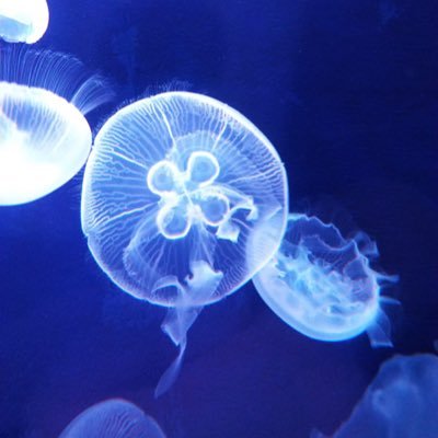 nannan2552's profile picture. 107💊 パワハラ気味薬局からドラッグストアに転職。1年目で転職するの不安だったけど、今穏やかに生活できてるから転職してよかったです。