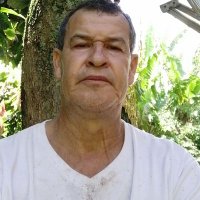 Luis fernando gil acevedo (@luisfer69462805) 's Twitter Profile
