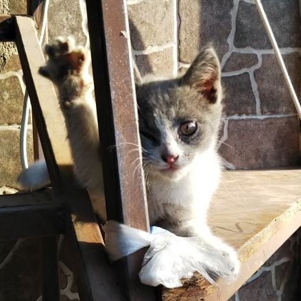 窓を開けて換気をしていたのを理由に派遣先を断られました
あれ?コロナ労災すごい件数なのに窓開けるな、って?
♡「マスク外せ」は「感染しろ」の同調圧力。戦時中の玉砕と似てるね。
♡自民党はいりません
♡釧路湿原をいじくるな!
♡コロナは明けてないよ。主要メディアが「コロナ」と「マスク」をNGワードにしただけ。