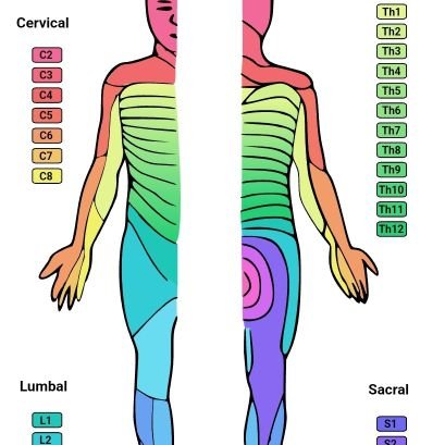 London Spinal Cord Injury Network