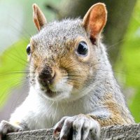Elle Bee 📸💙🏴 (@ellebeephotos) 's Twitter Profile Photo Elle Bee 📸💙🏴 (@ellebeephotos) 's Twitter Profile Photo