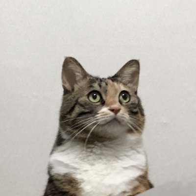 hansoloh4's profile picture. Front-End Developer!!!!