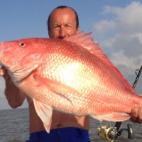 Royden Lynch (@roydenlynch) 's Twitter Profile