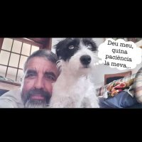 Andreu de Besora (@andreubn) 's Twitter Profile