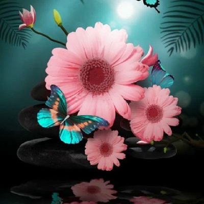 Meshly909's profile picture. 