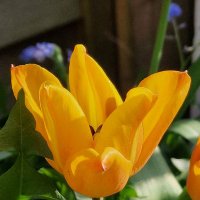 julie hankin (@julie_hankin) 's Twitter Profile