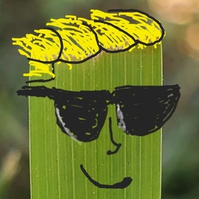 TheLawnEgo Profile Picture