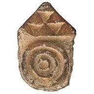 CanariasLibre (@clibreconcept) 's Twitter Profile