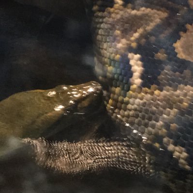 tdwpkw's profile picture. ゲーミングPCの買い替えを検討中