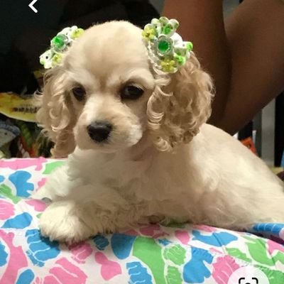 Imyou75245111's profile picture. travel, jigsaw puzzles, food