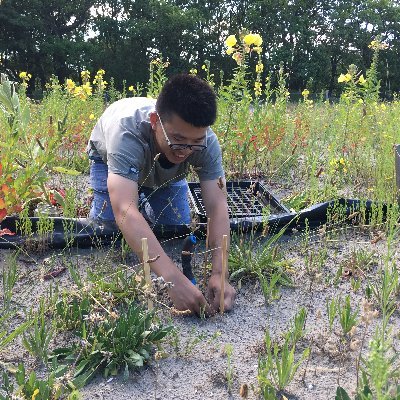 Ecology | plant soil interaction | TERRA-Dunes | Agroecosystem | Postdoc researcher at CML, Leiden University🎾🚴🪴⛰️🍄