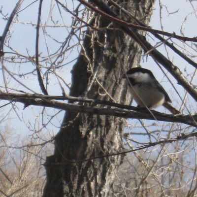 FayNancy3's profile picture. 