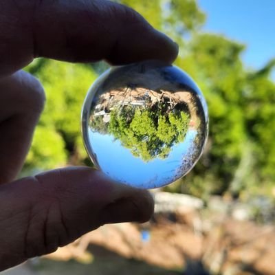 dzalendara's profile picture. Hbarbarian/Hederian, non-duality, permaculture,  unified humanity