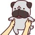パグパグ (@chattypag_pag) Twitter profile photo パグパグ (@chattypag_pag) Twitter profile photo