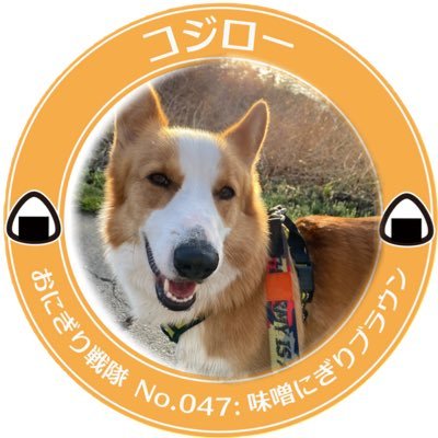 先代ヤマト(大和)♂10才6ヶ月🌈 2代目コジロー(虎次郎)♂2019.1.27🍼お兄ちゃん勉強中📚 3代目トラジ(虎士)♂2023.7.23🍼社会勉強中📚日常のコジローとトラジについてツイートしてます🐶🐯 #コーギーのいる暮らし #多頭飼い