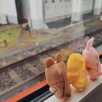 わこ(@pmmf_) 's Twitter Profile Photo