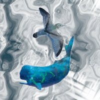 slender-billed whalebird (@swhalebird) 's Twitter Profile Photo slender-billed whalebird (@swhalebird) 's Twitter Profile Photo