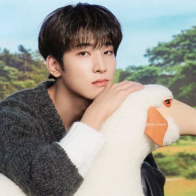 dkkjwsh11's profile picture. 