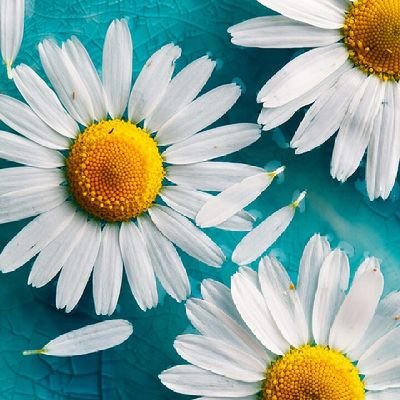 Dis_gdj's profile picture. I love Jesus!