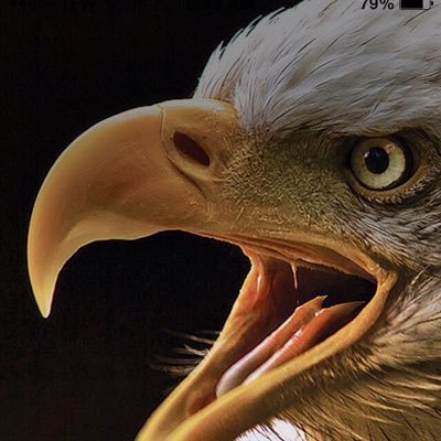 FreedomLawnCo's profile picture. Husband, Father, Business owner, Patriot, follower of Jesus, Army Veteran