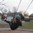 erinlanigan's profile image