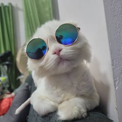 thbkk's profile picture. หาเวลา.เดินตามฝัน..