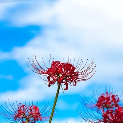 ern6ujgHCK8b7MD's profile picture. 