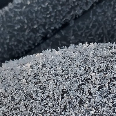 TyreAnnie's profile picture. A little Tyranny can be useful