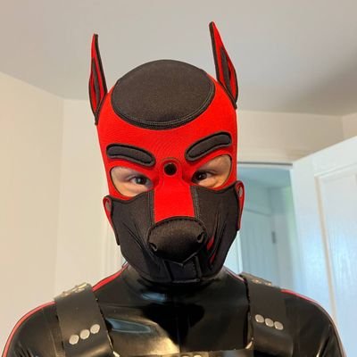 🔞. Rubber pup/boy who enjoys coffee and waddling on occasions. 💖(closed) dating @kaipupper💖