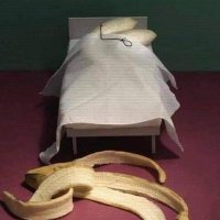 ابو اسلام الطاير (@altayrabw1) Twitter profile photo