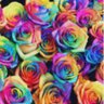 akmc_sz5boxf's profile picture. timeleszのFC会員です。よろしくお願いします🤲💜寄りの箱推しです✨💜❤️💚🩷💛🤍🩵🎽✨よにのの💜ゆちふま💜も推しです✨