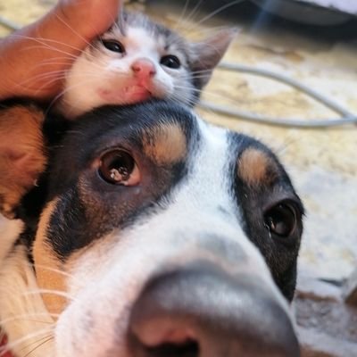 Hola desde la República Dominicana saludos, este es un país lleno de persona buena