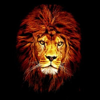 bdallhalshlwy14's profile picture. 