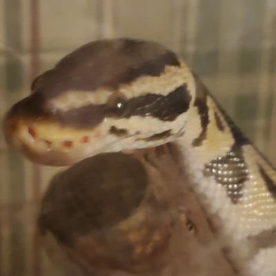 GabrielClaus11's profile picture. 