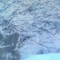 Krola @ Liquipedia Editor (@krola_jp) 's Twitter Profile