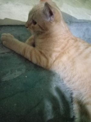 Xyz21241512's profile picture. Live and let live