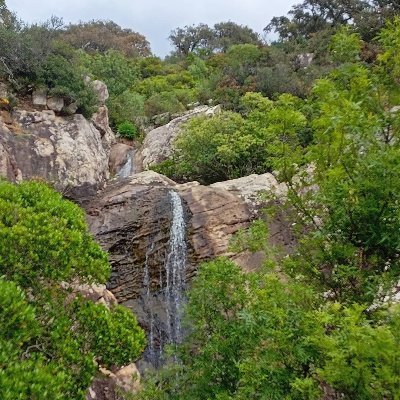 PHOTOnft16's profile picture. 