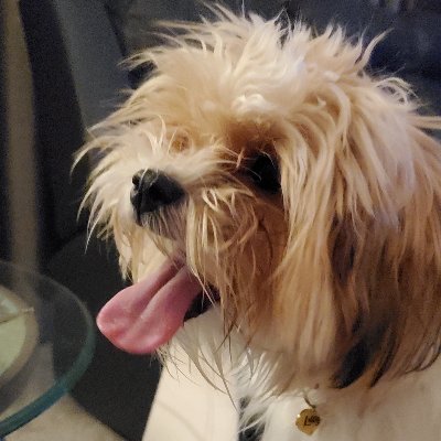 MusTurd14's profile picture. 