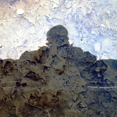 StevoLime's profile picture. Computer and Phone Technician, Amateur Photographer, and Gamer

Look me up. @stevolime