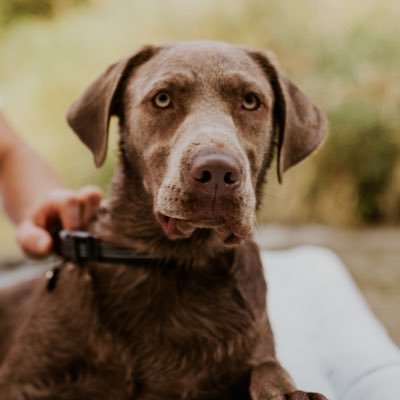 Jensen10Justin's profile picture. ⚾️⚾️