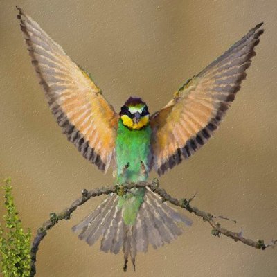 walls_222's profile picture. An explorer of the 100-acre wood.