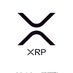 XRP 🌻 🏴‍☠️ (@sofaking1776) Twitter profile photo
